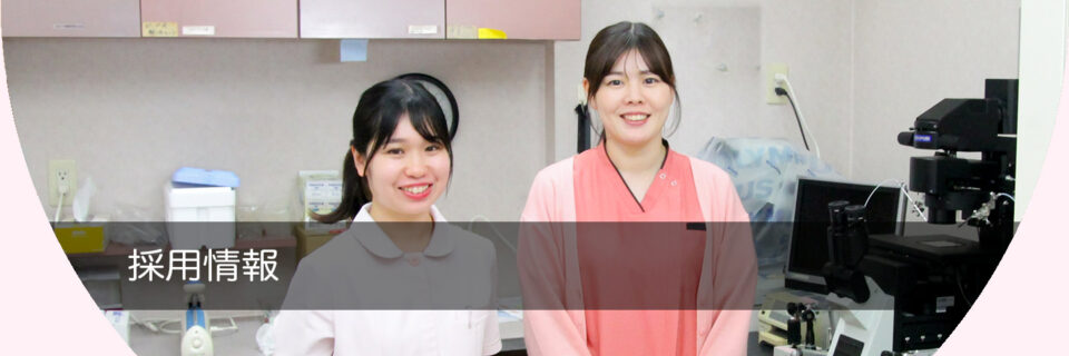 お仕事の1日の流れ お仕事の1日の流れ